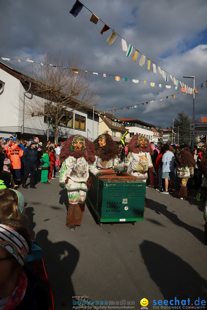 Narrenumzug: Markdorf am Bodensee, 19.02.2023