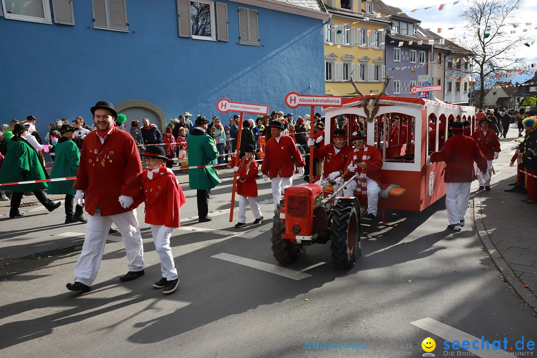 Narrenumzug: Markdorf am Bodensee, 19.02.2023