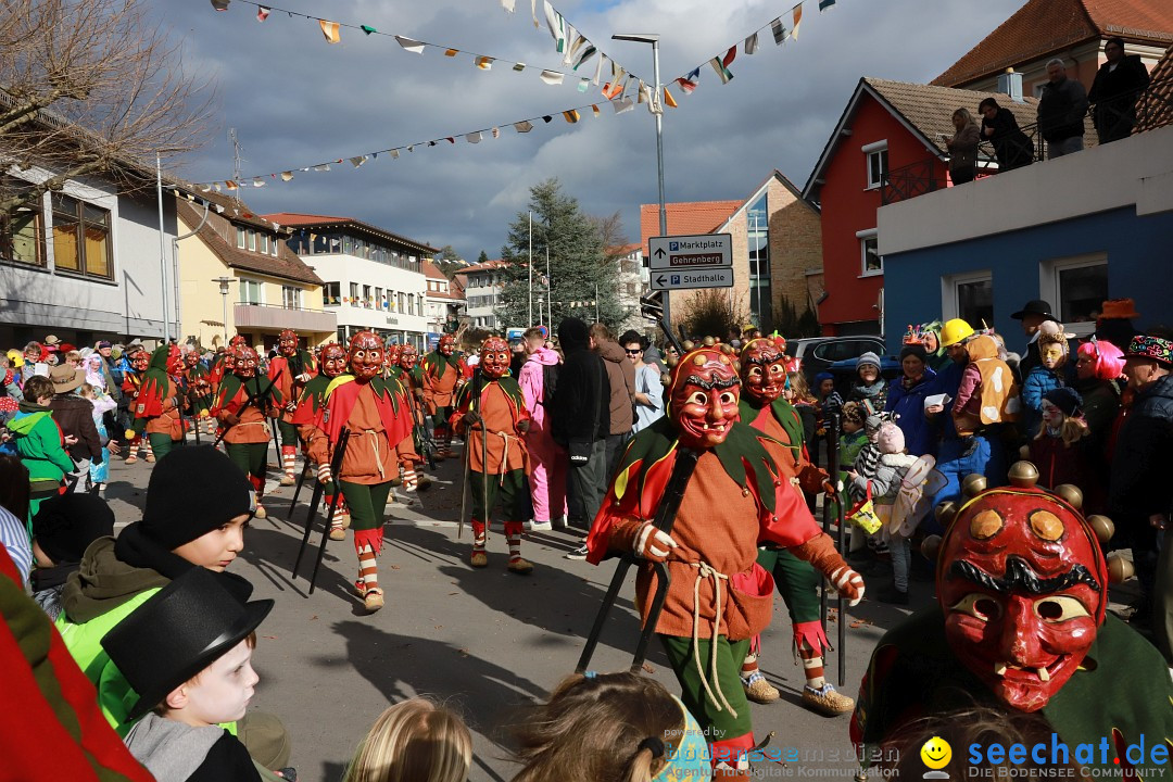 Narrenumzug: Markdorf am Bodensee, 19.02.2023