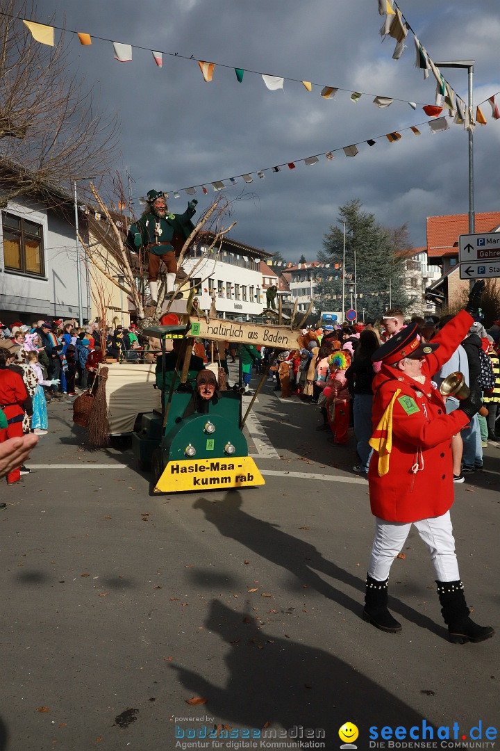 Narrenumzug: Markdorf am Bodensee, 19.02.2023