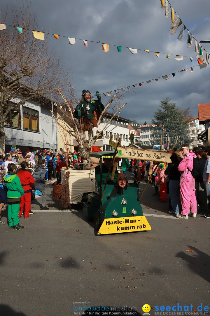 Narrenumzug: Markdorf am Bodensee, 19.02.2023