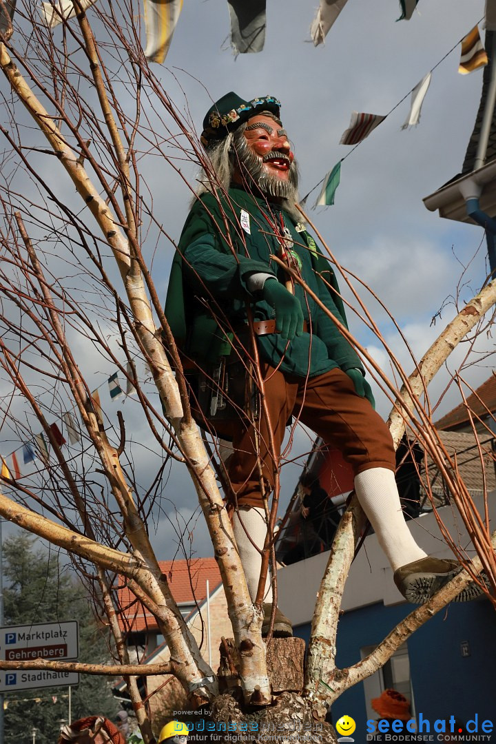 Narrenumzug: Markdorf am Bodensee, 19.02.2023