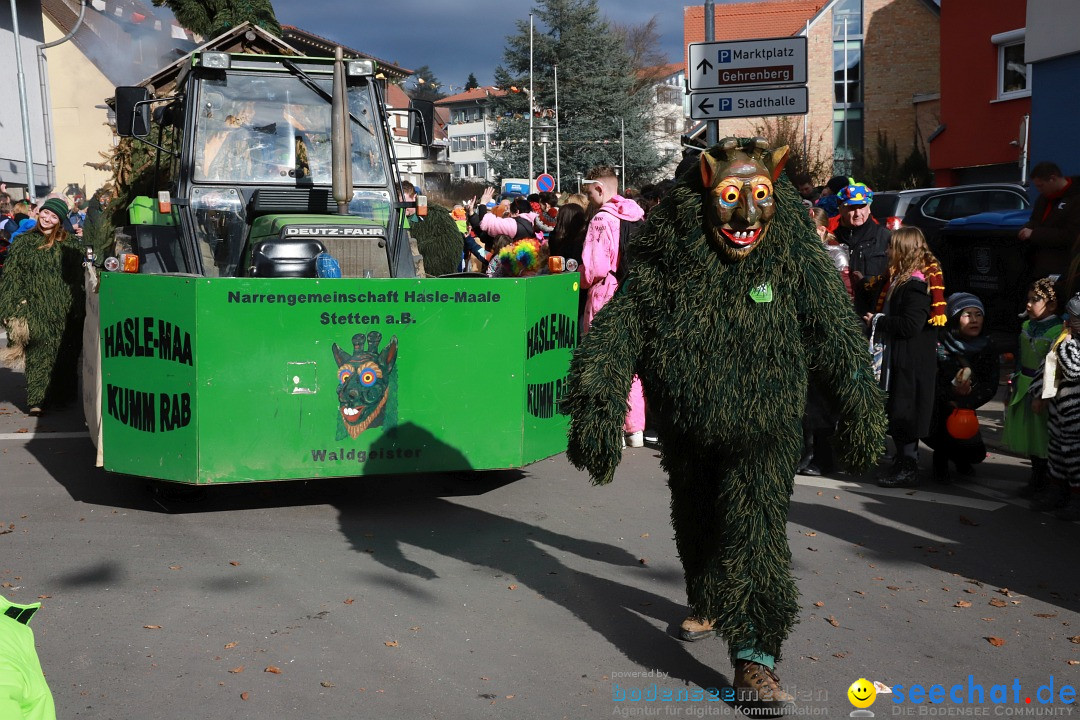 Narrenumzug: Markdorf am Bodensee, 19.02.2023