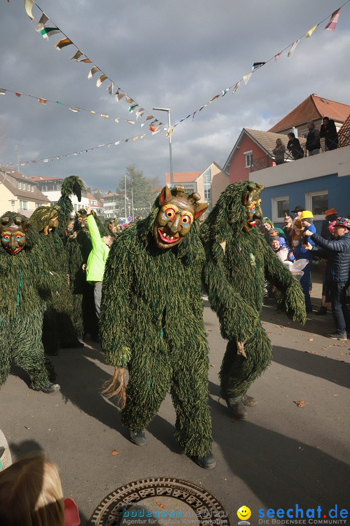 Narrenumzug: Markdorf am Bodensee, 19.02.2023