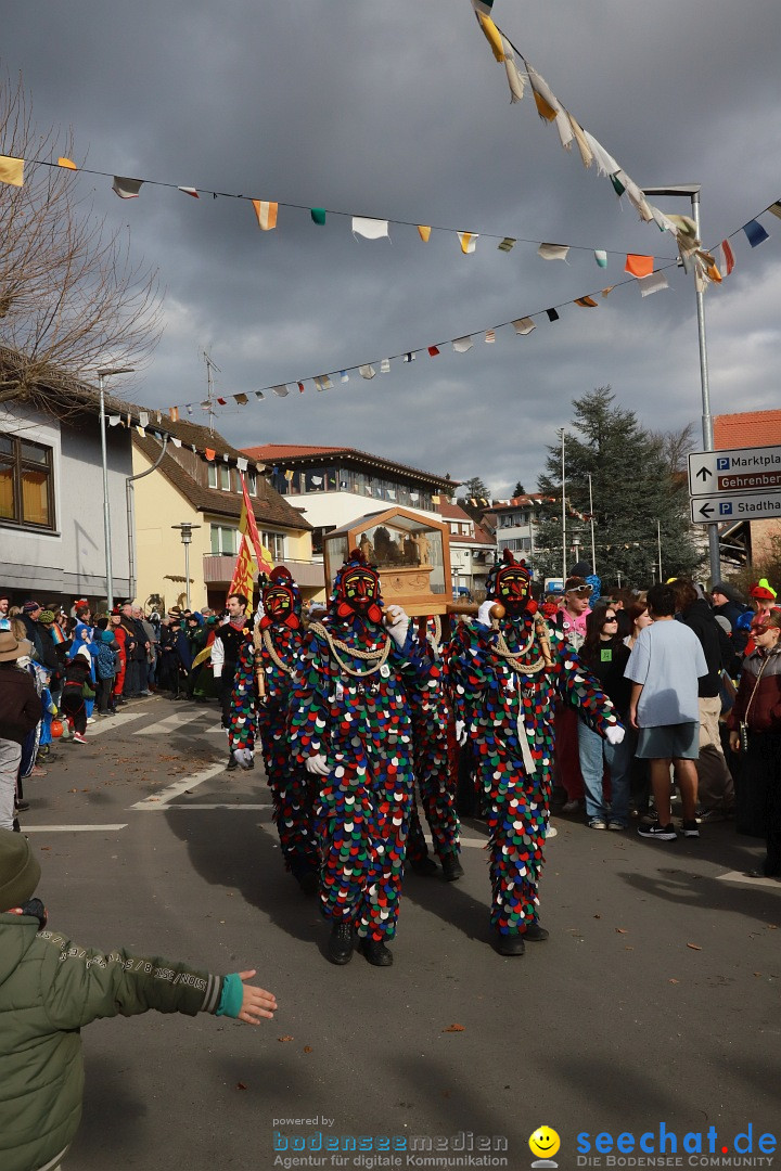 Narrenumzug: Markdorf am Bodensee, 19.02.2023