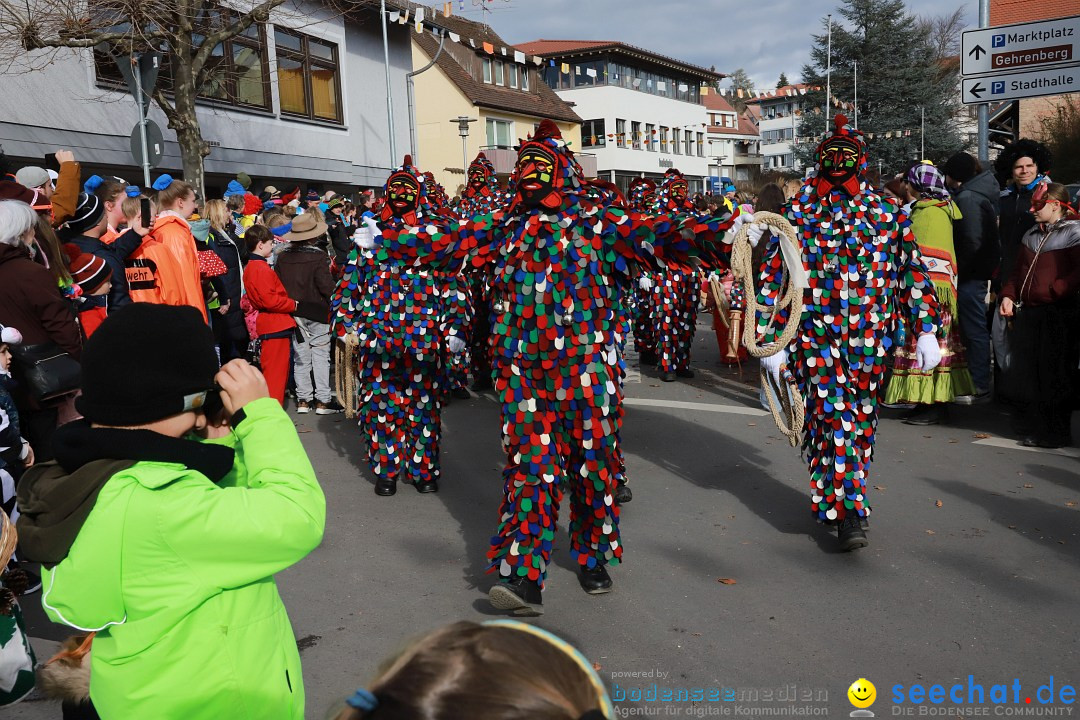 Narrenumzug: Markdorf am Bodensee, 19.02.2023