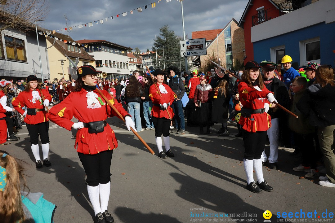 Narrenumzug: Markdorf am Bodensee, 19.02.2023