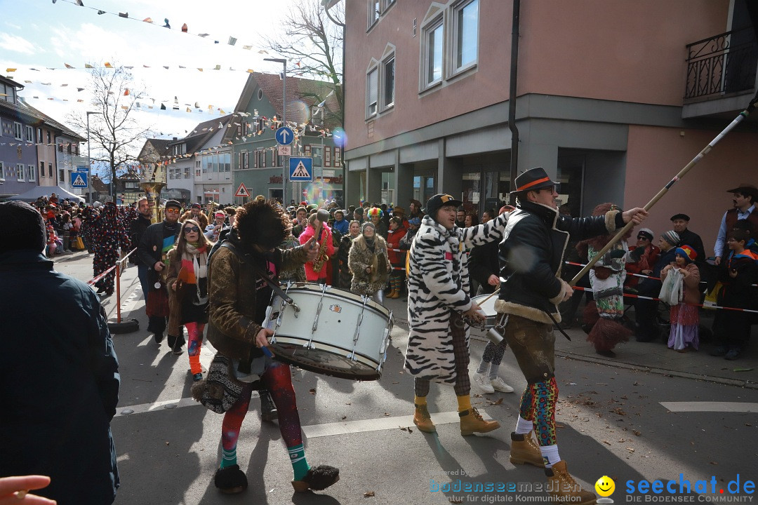 Narrenumzug: Markdorf am Bodensee, 19.02.2023