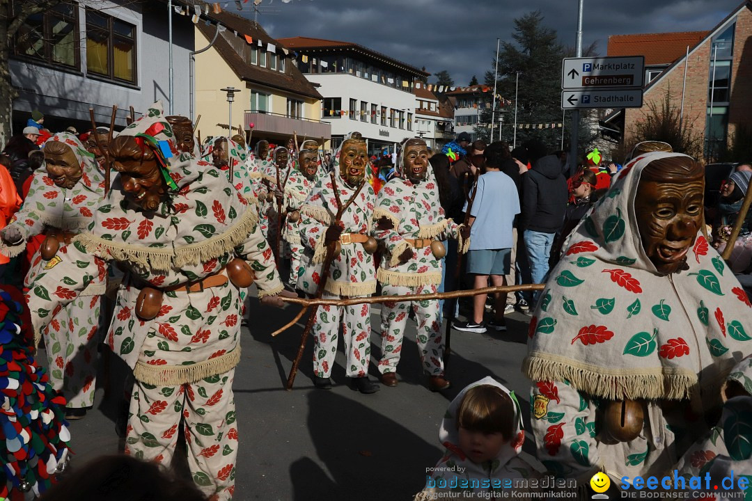 Narrenumzug: Markdorf am Bodensee, 19.02.2023