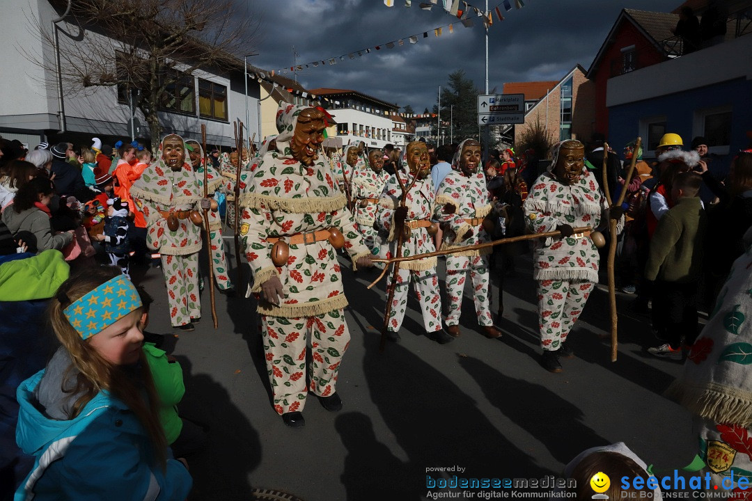 Narrenumzug: Markdorf am Bodensee, 19.02.2023