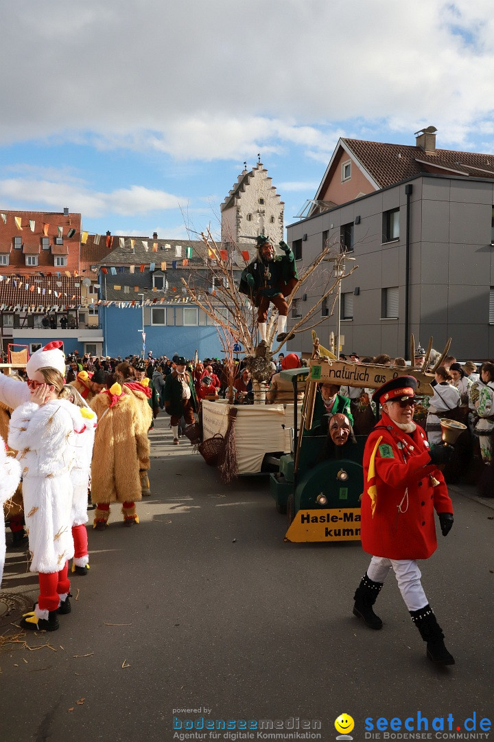 Narrenumzug: Markdorf am Bodensee, 19.02.2023