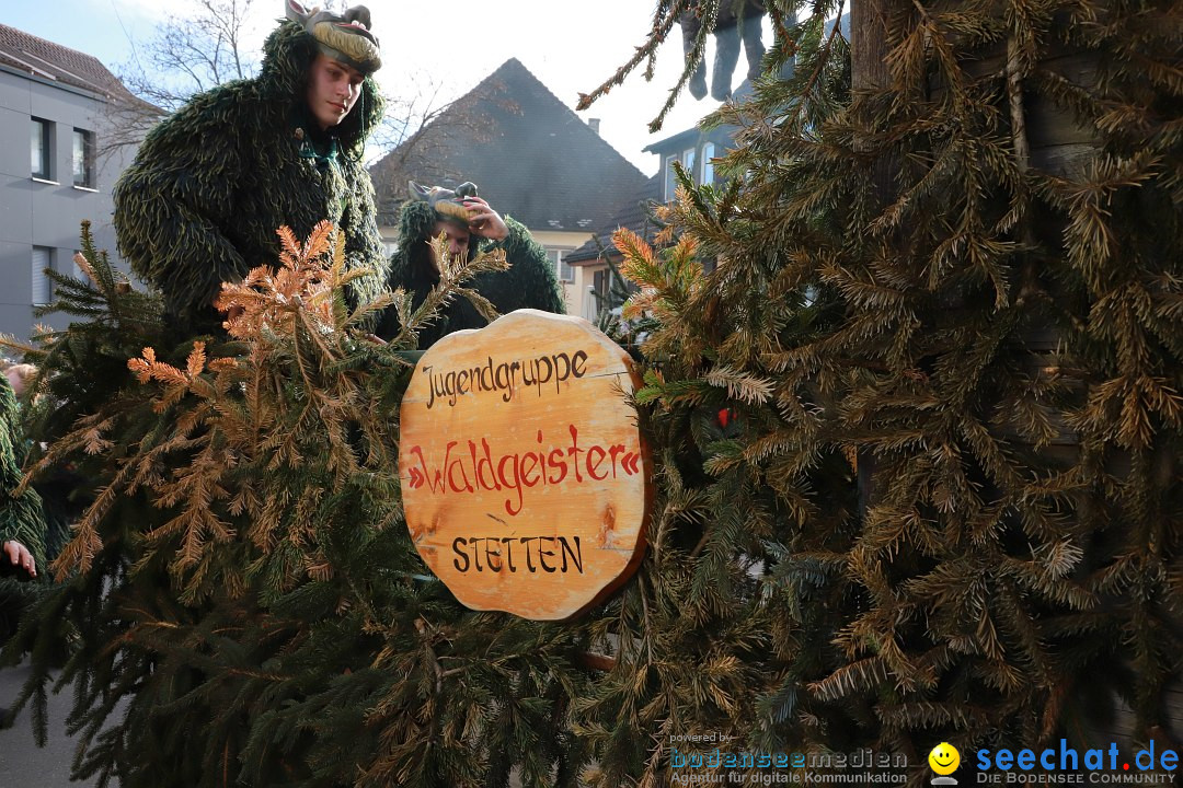 Narrenumzug: Markdorf am Bodensee, 19.02.2023