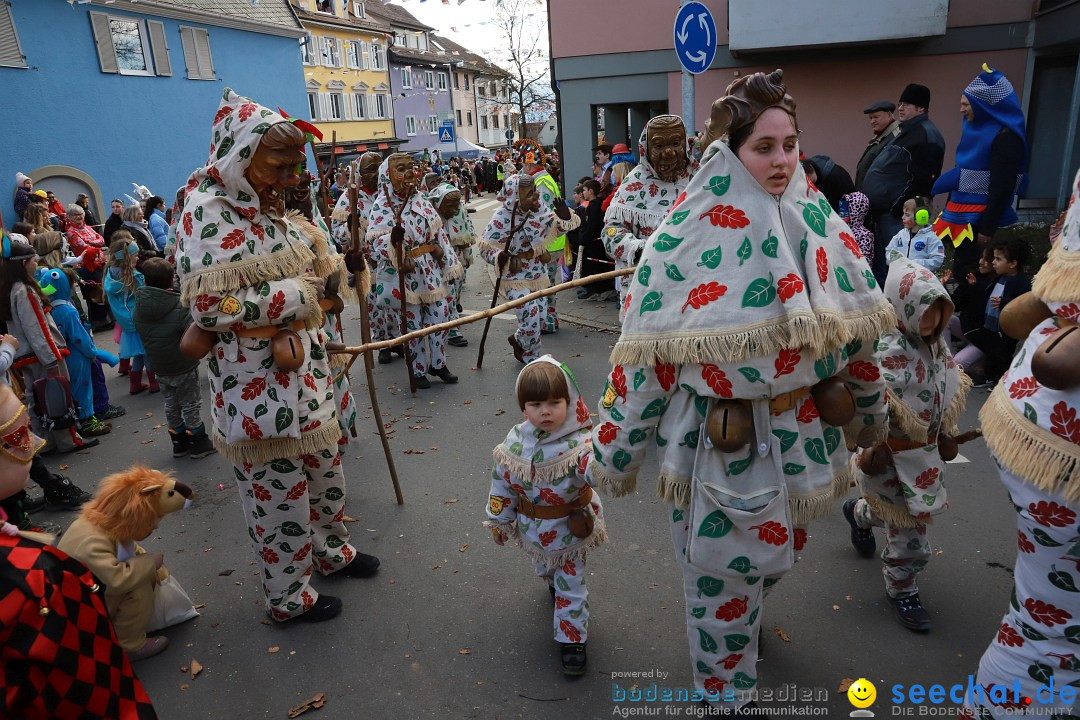 Narrenumzug: Markdorf am Bodensee, 19.02.2023