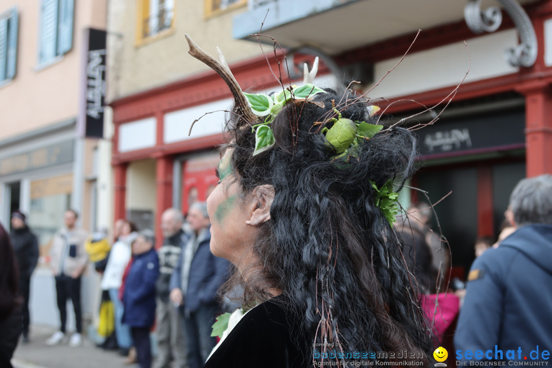 Fasnacht 2023 - Stadthaus Stuermung: Arbon, 23.02.2023