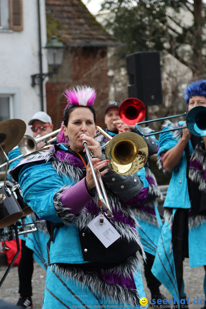 Fasnacht 2023 - Stadthaus Stuermung: Arbon, 23.02.2023