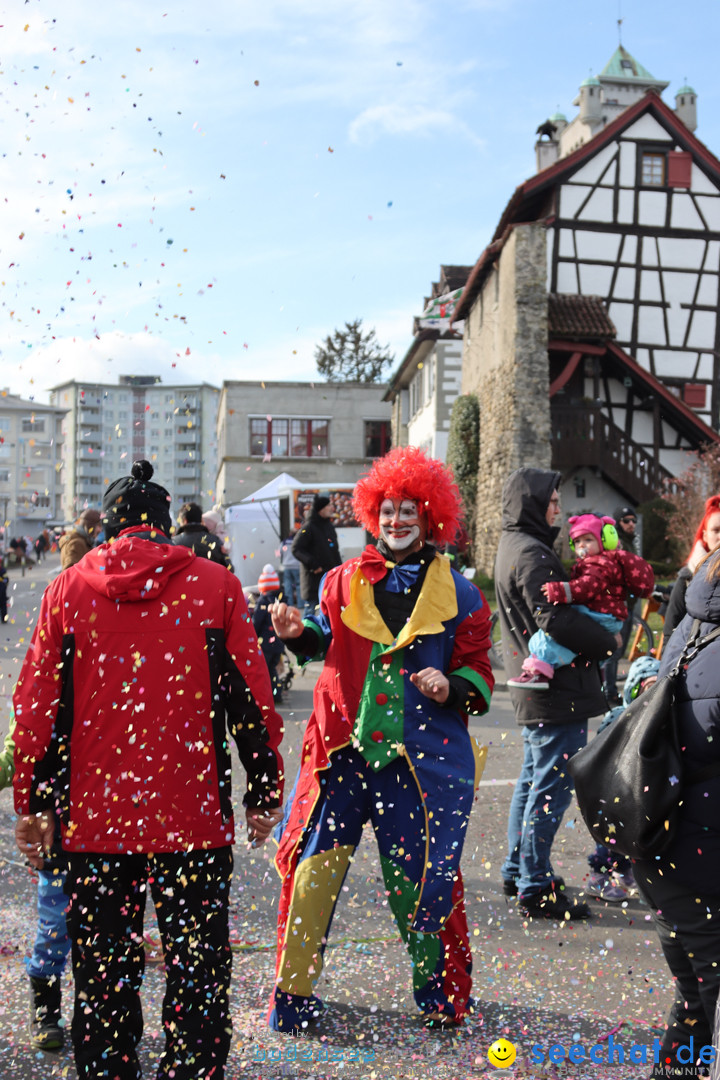 Fasnachtsumzug - Arbon am Bodensee, 26.02.2023