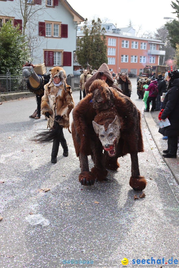 Fasnachtsumzug - Arbon am Bodensee, 26.02.2023