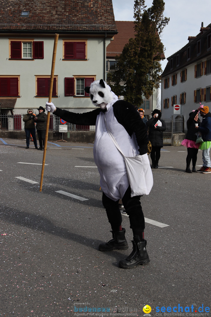 Fasnachtsumzug - Arbon am Bodensee, 26.02.2023