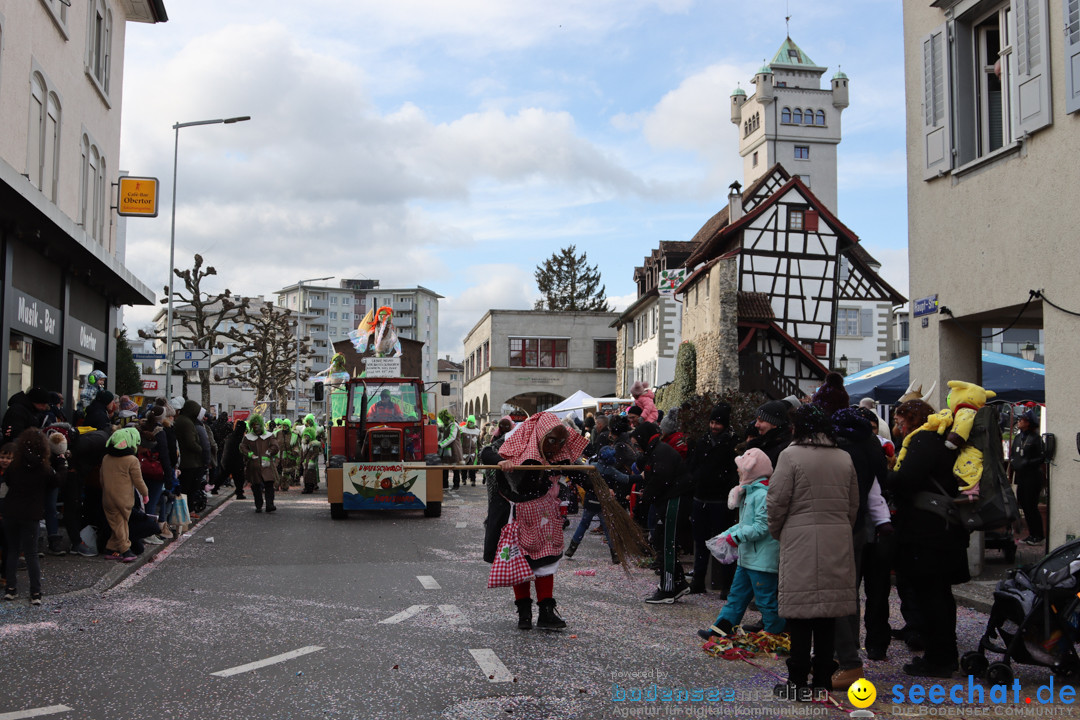 Fasnachtsumzug - Arbon am Bodensee, 26.02.2023