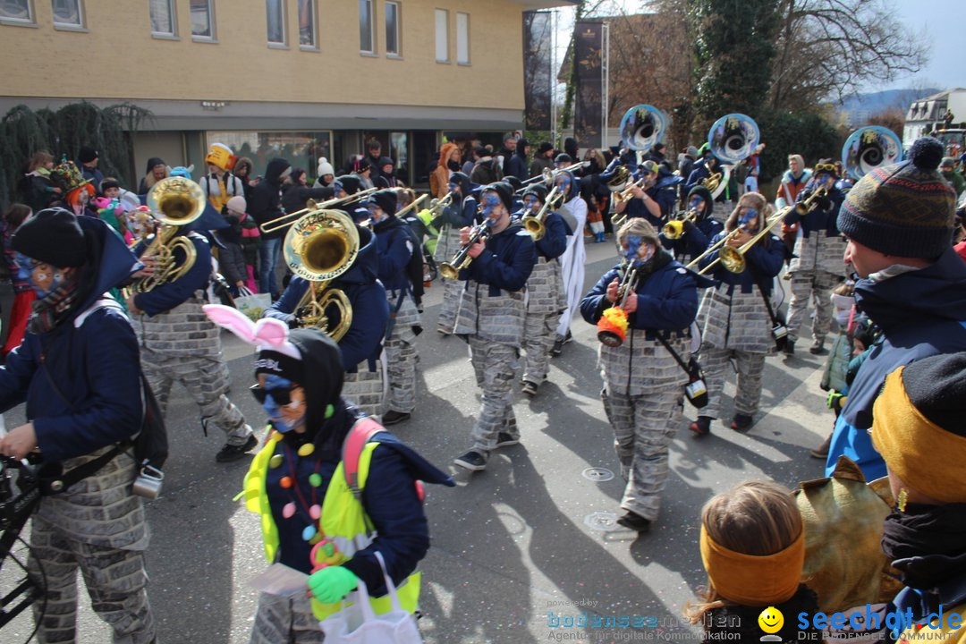 Fasnachtsumzug - Brugg am Bodensee, 26.02.2023