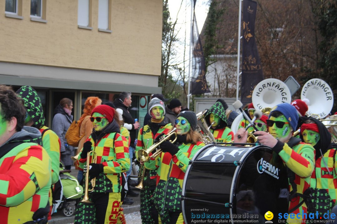 Fasnachtsumzug - Brugg am Bodensee, 26.02.2023