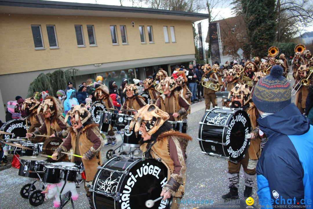 Fasnachtsumzug - Brugg am Bodensee, 26.02.2023