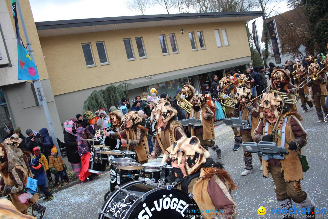 Fasnachtsumzug - Brugg am Bodensee, 26.02.2023