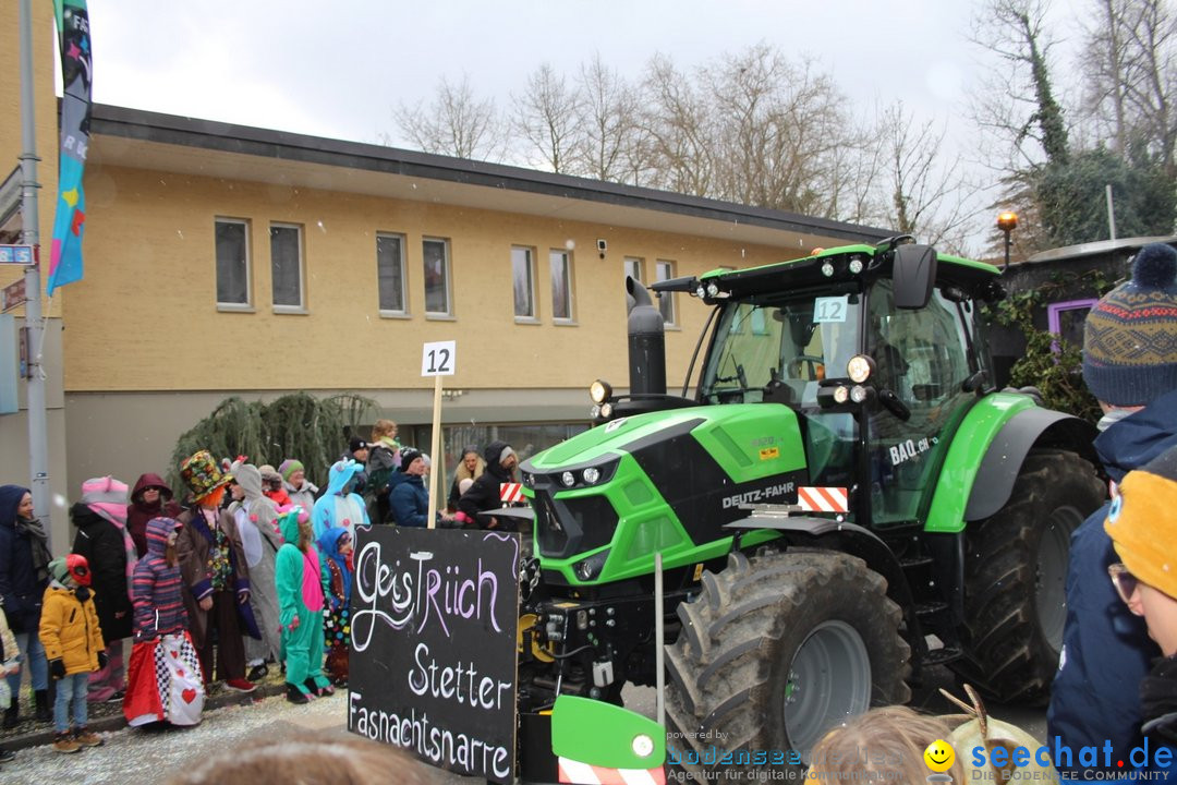 Fasnachtsumzug - Brugg am Bodensee, 26.02.2023