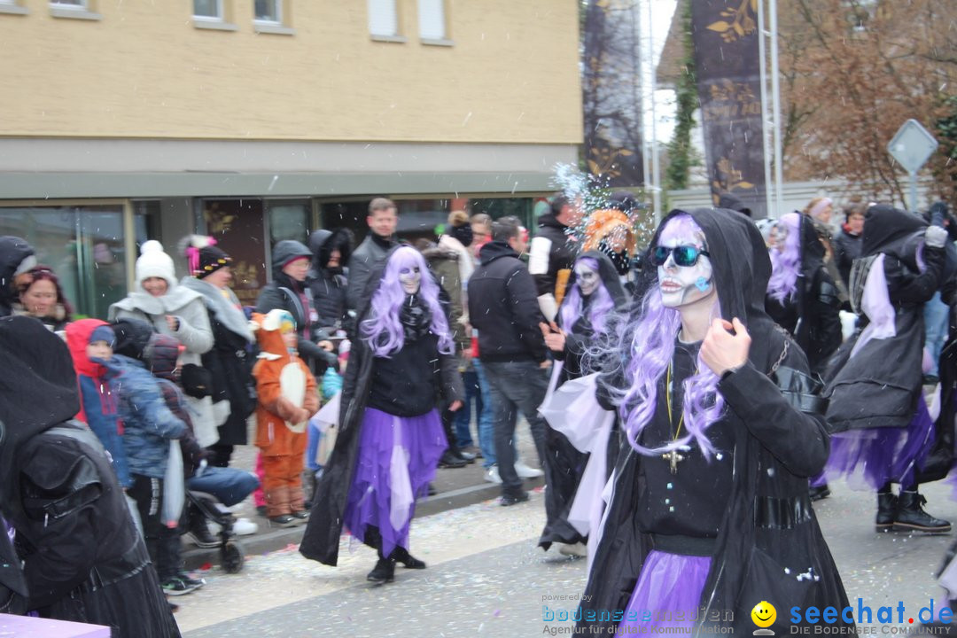 Fasnachtsumzug - Brugg am Bodensee, 26.02.2023