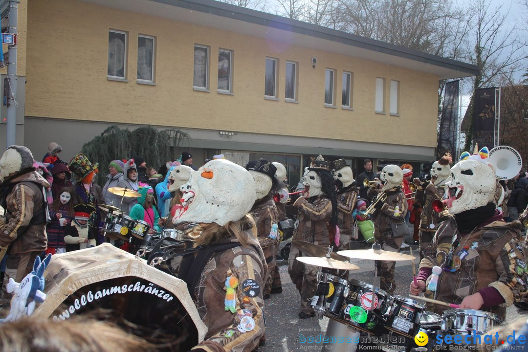 Fasnachtsumzug - Brugg am Bodensee, 26.02.2023