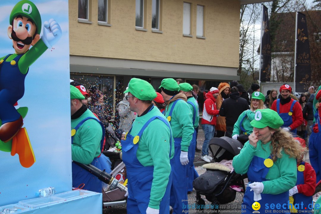 Fasnachtsumzug - Brugg am Bodensee, 26.02.2023