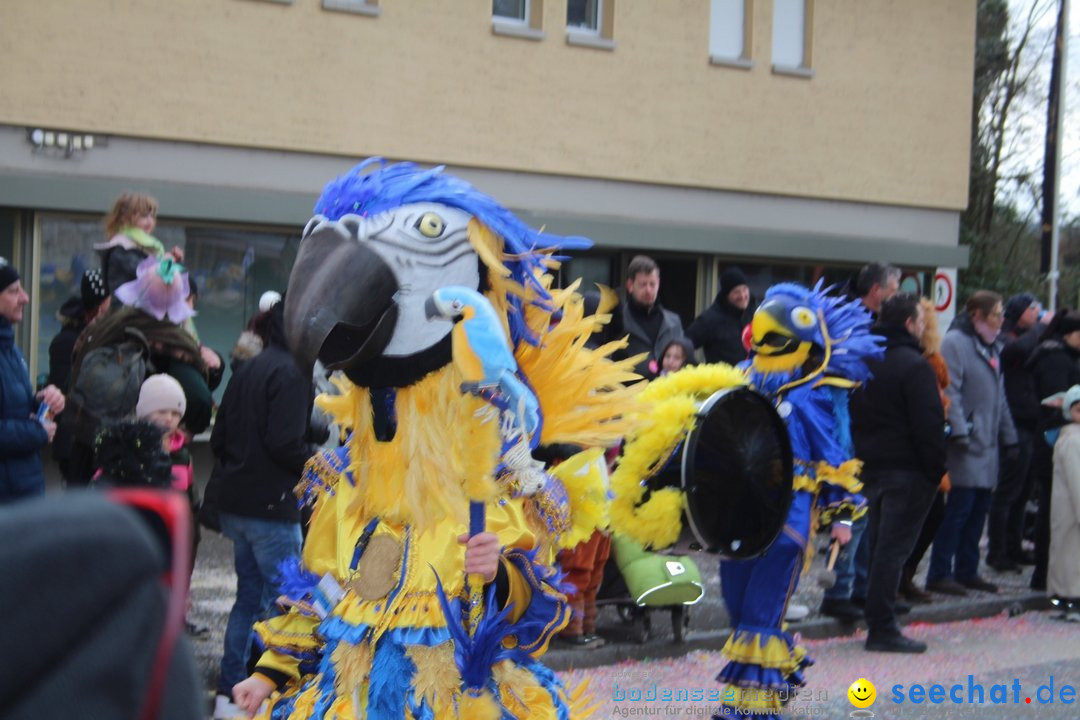 Fasnachtsumzug - Brugg am Bodensee, 26.02.2023