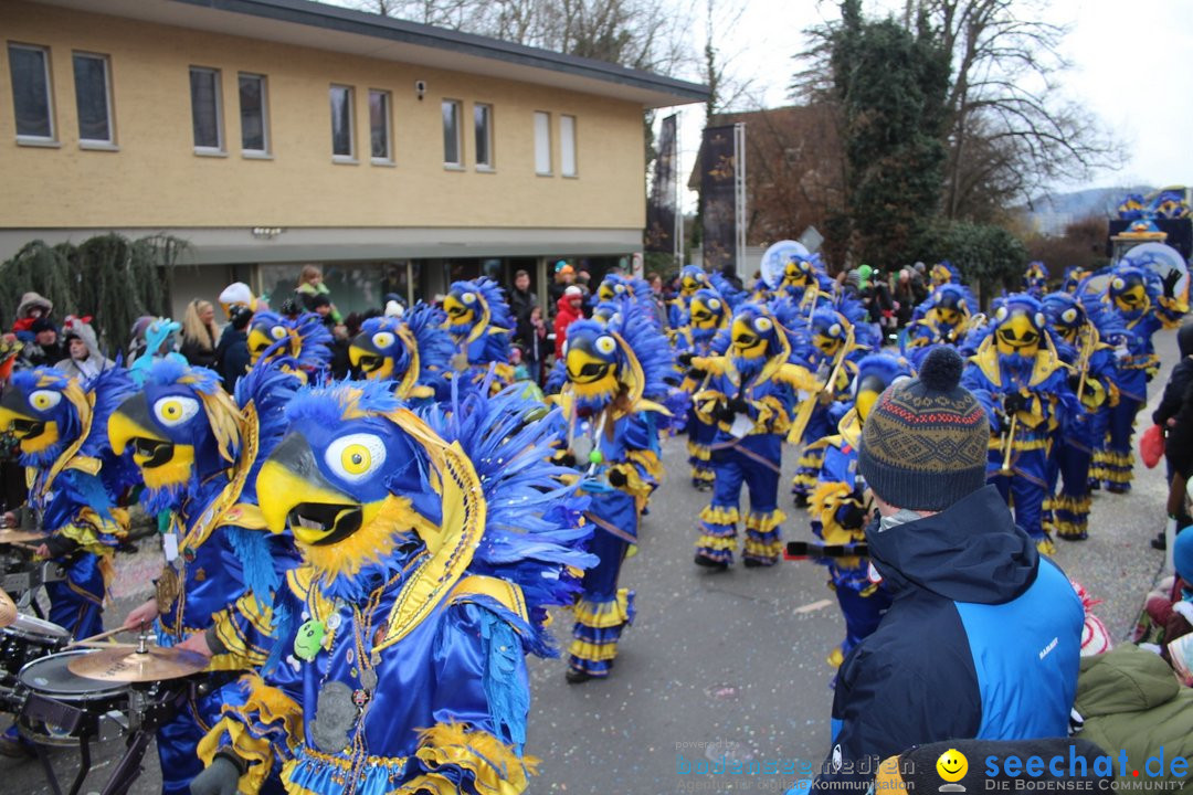 Fasnachtsumzug - Brugg am Bodensee, 26.02.2023