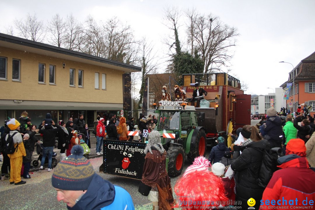 Fasnachtsumzug - Brugg am Bodensee, 26.02.2023