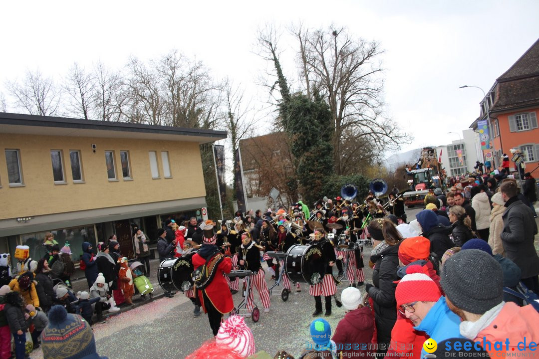 Fasnachtsumzug - Brugg am Bodensee, 26.02.2023