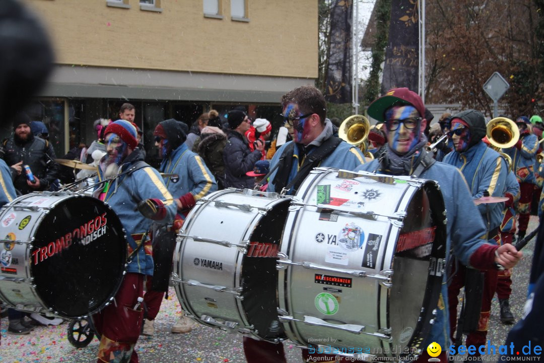 Fasnachtsumzug - Brugg am Bodensee, 26.02.2023