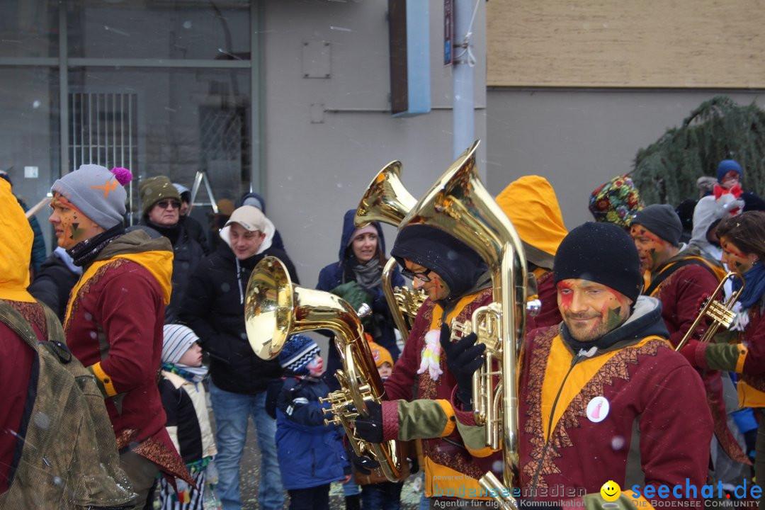 Fasnachtsumzug - Brugg am Bodensee, 26.02.2023