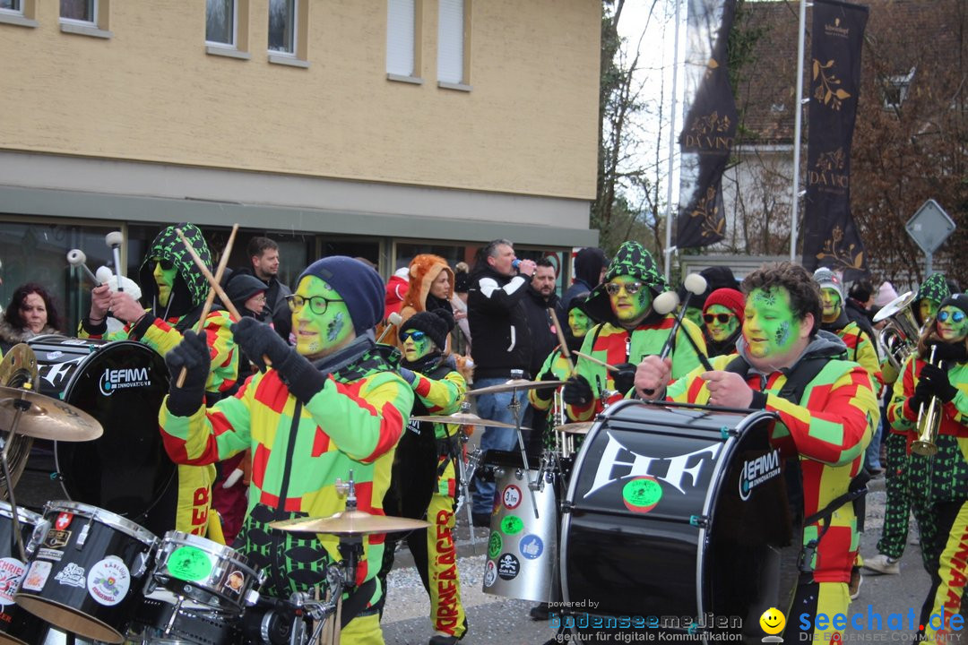 Fasnachtsumzug - Brugg am Bodensee, 26.02.2023