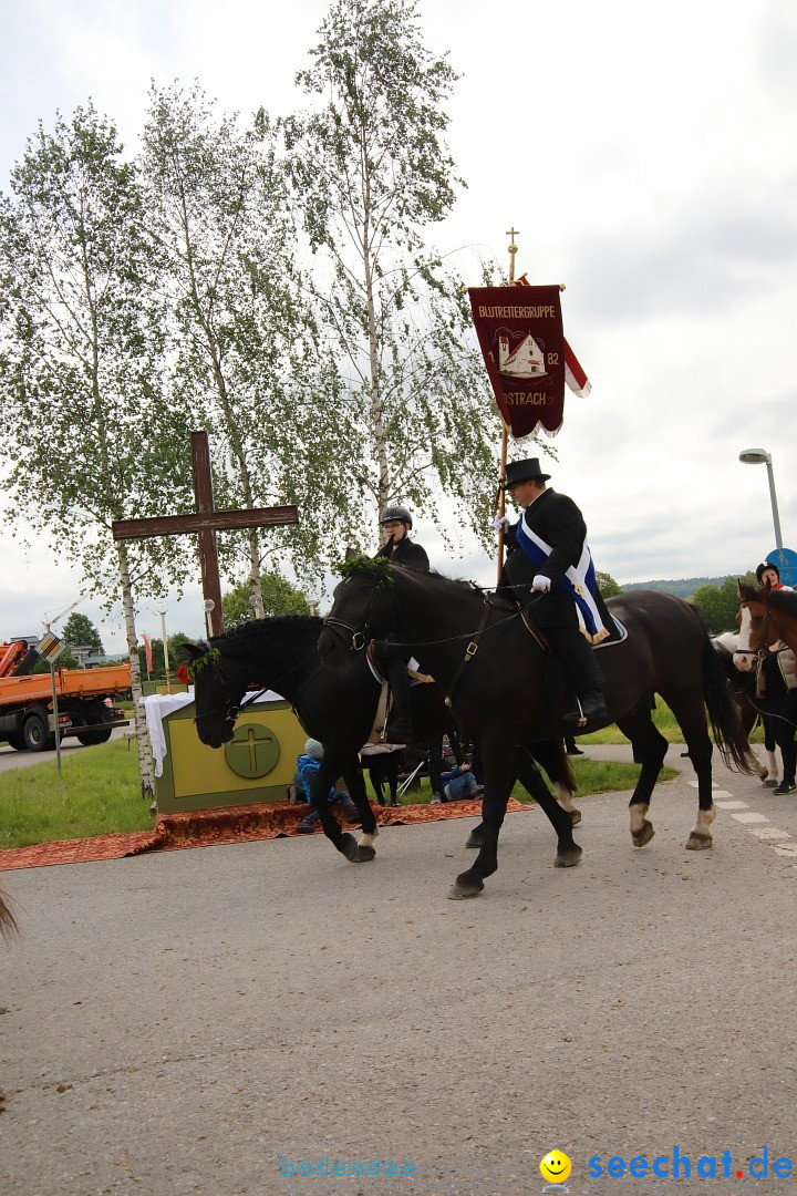 Blutritt - Prozession zu Pferde mit Heilig-Blut-Reliquie: Weingarten, 19.05