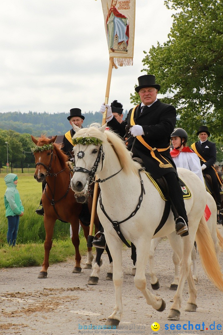 Blutritt - Prozession zu Pferde mit Heilig-Blut-Reliquie: Weingarten, 19.05