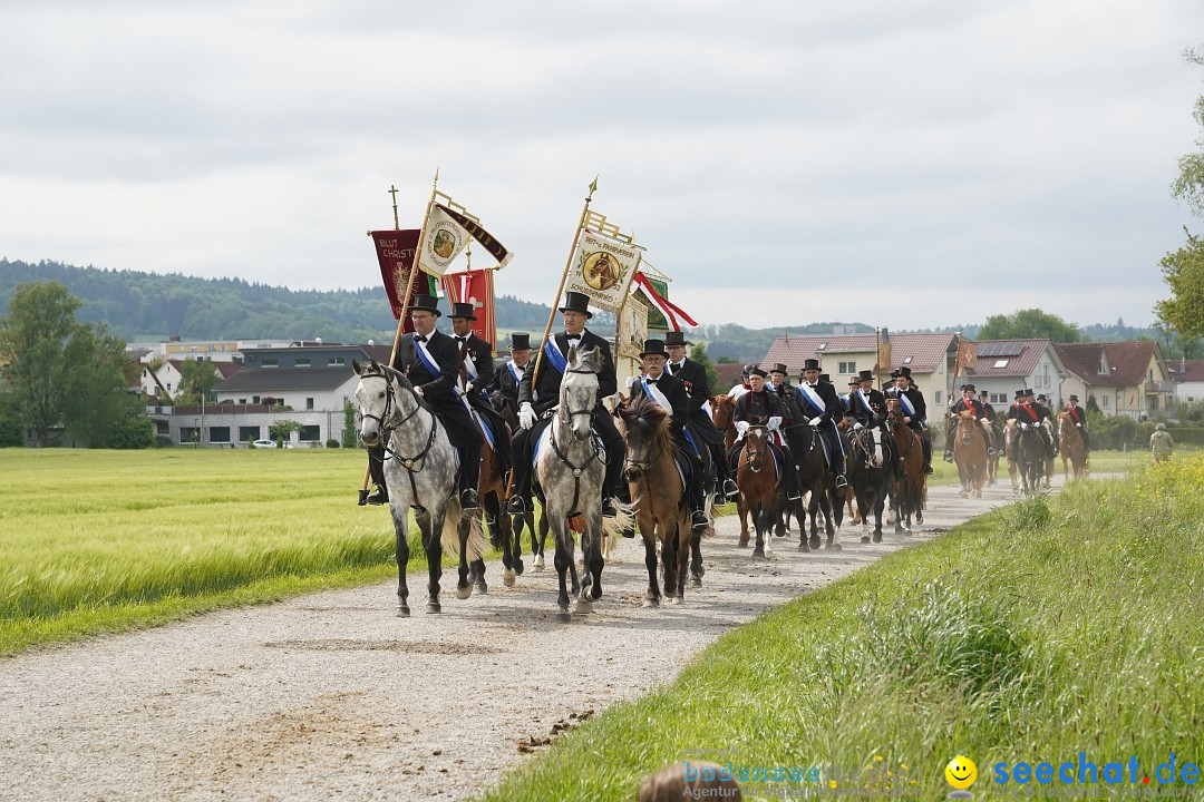 Blutritt - Prozession zu Pferde mit Heilig-Blut-Reliquie: Weingarten, 19.05