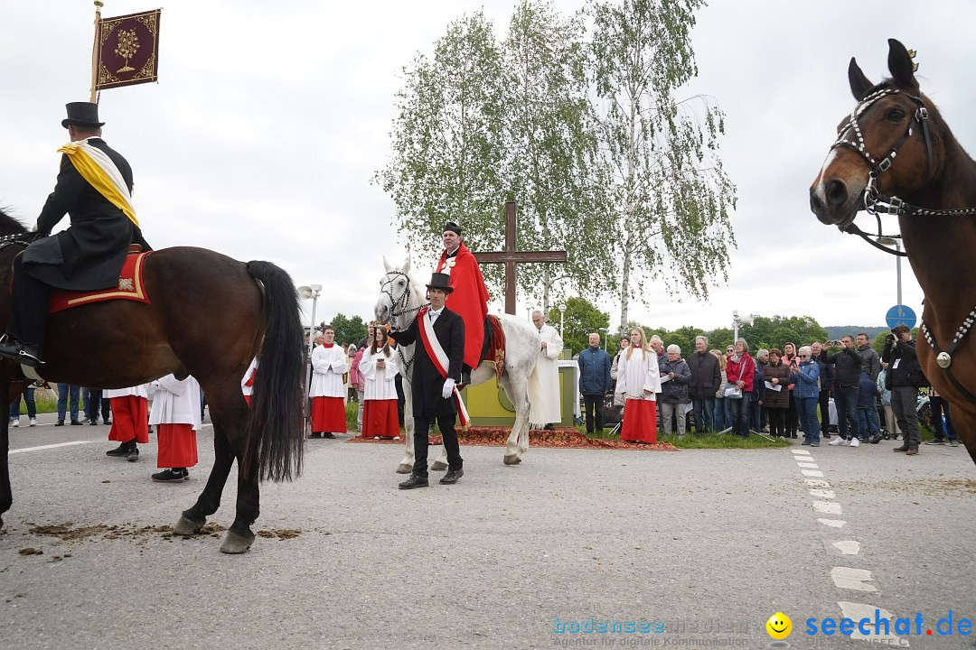 Blutritt - Prozession zu Pferde mit Heilig-Blut-Reliquie: Weingarten, 19.05