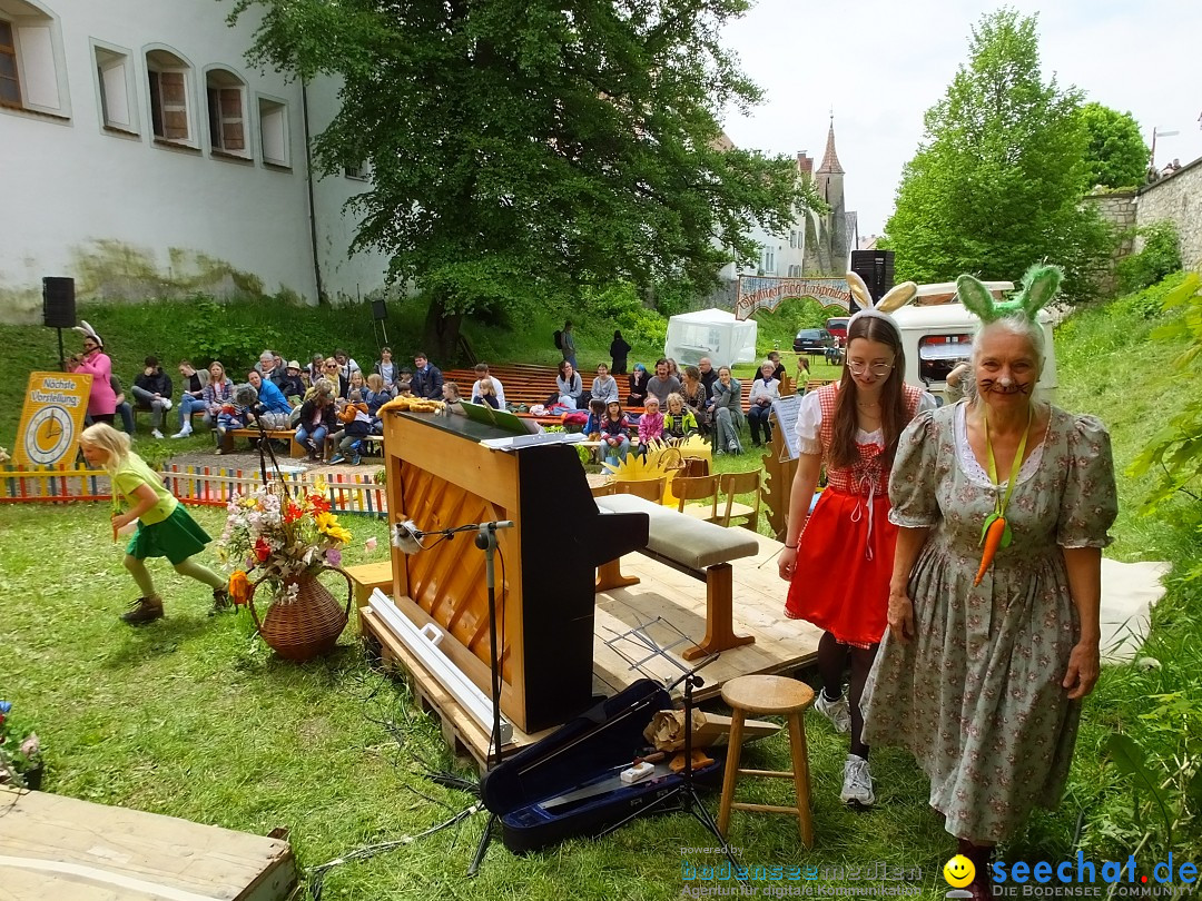 Flohmarkt: Riedlingen, 20.05.2023