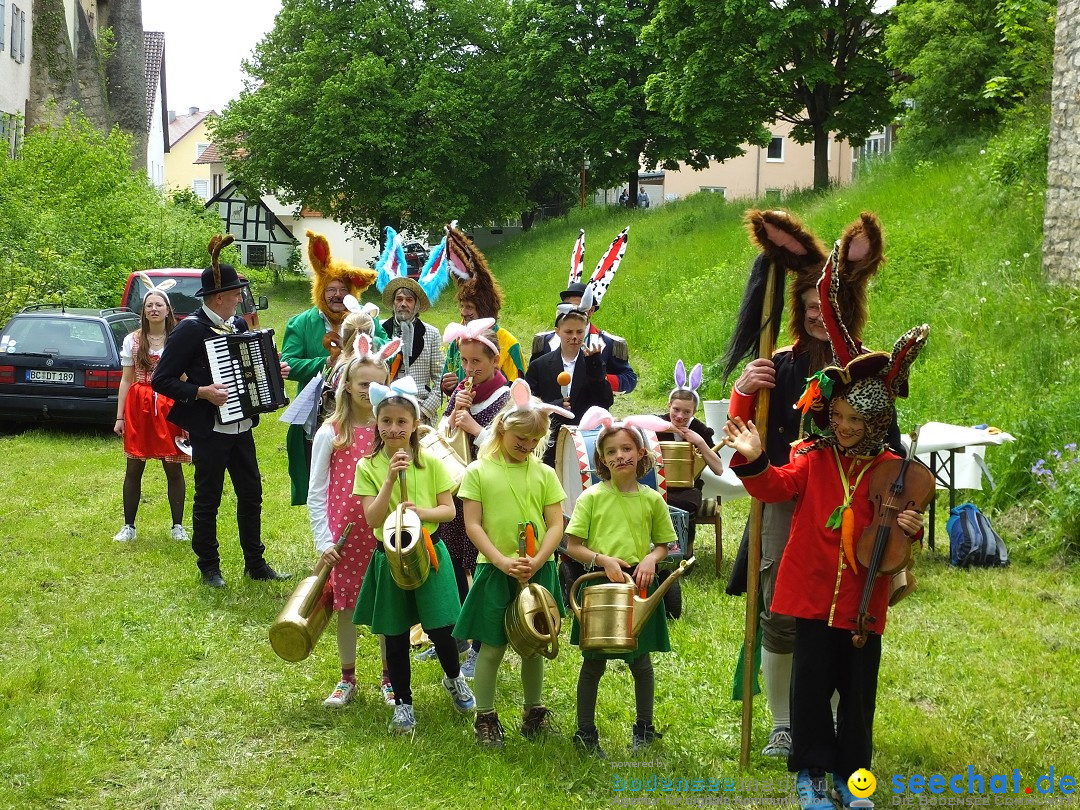 Flohmarkt: Riedlingen, 20.05.2023