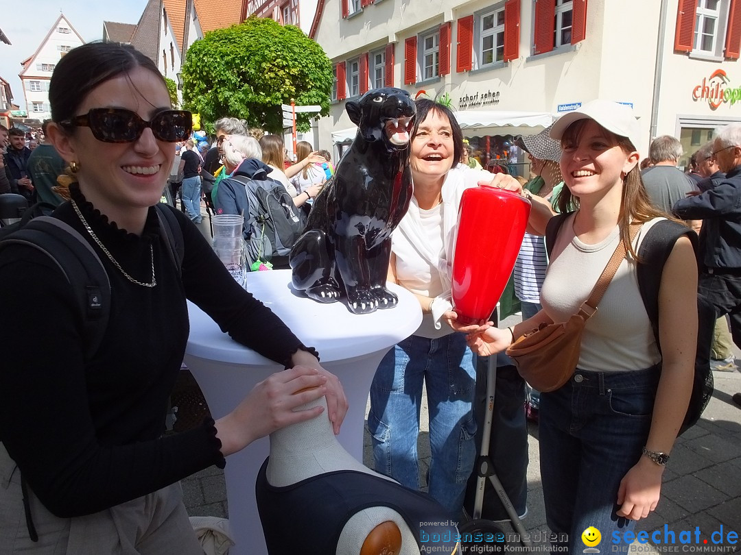 Flohmarkt: Riedlingen, 20.05.2023