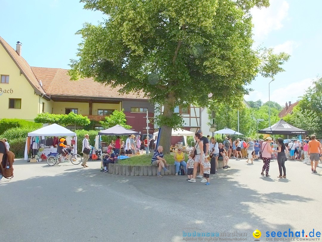 Flohmarkt: Zwiefaltendorf, 24.06.2023