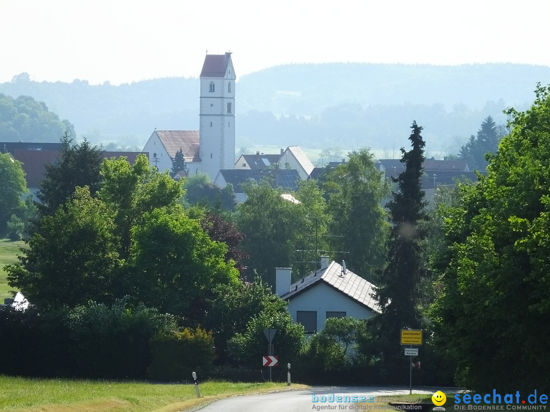 Flohmarkt: Zwiefaltendorf, 24.06.2023