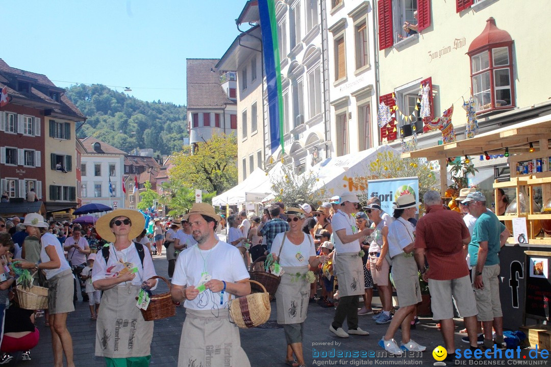 Badenfahrt 2023 in der Schweiz, Baden: 20.08.2023