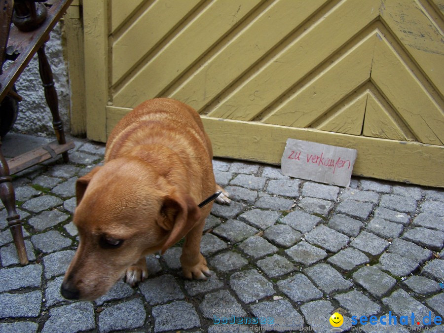 Flohmarkt: Riedlingen, 15.05.2010