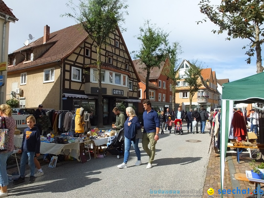 Flohmarkt: Bad Saulgau, 23.09.2023